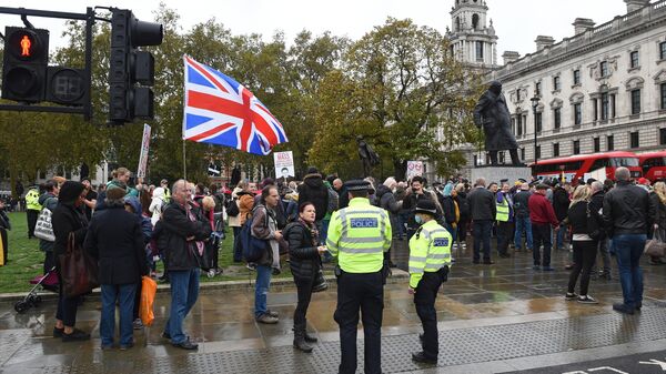 Aksiya protesta v Londone, arxivnoe foto - Sputnik O‘zbekiston