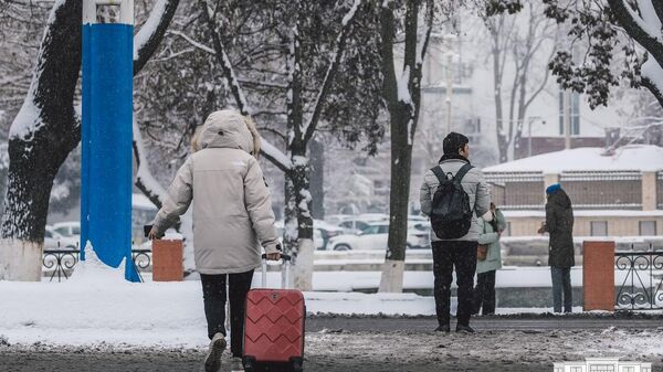 Zima v Tashkente. - Sputnik O‘zbekiston