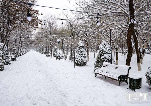 Ташкент зимой фото