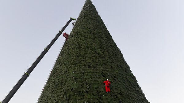Монтажник в костюме Деда Мороза устанавливает главную городскую елку высотой 55 метров (самую высокую в России) при температуре -20 градусов в Красноярске - Sputnik Ўзбекистон