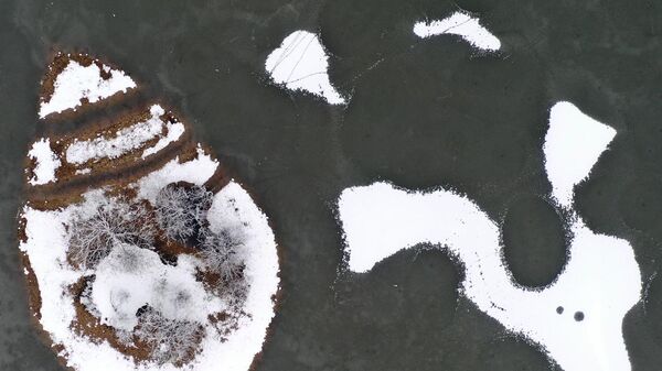 Вид замерзшего озера в Ричмонд-парке на юго-западе Лондона, Великобритания - Sputnik Узбекистан