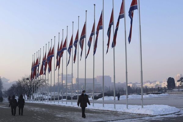 Приспущенные государственные флаги по случаю 11-й годовщины смерти Ким Чен Ира. - Sputnik Узбекистан