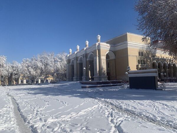 Солнечная морозная погода в Ташкенте.  - Sputnik Узбекистан