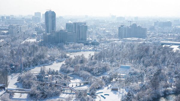 Снегопад в Ташкенте. - Sputnik Ўзбекистон