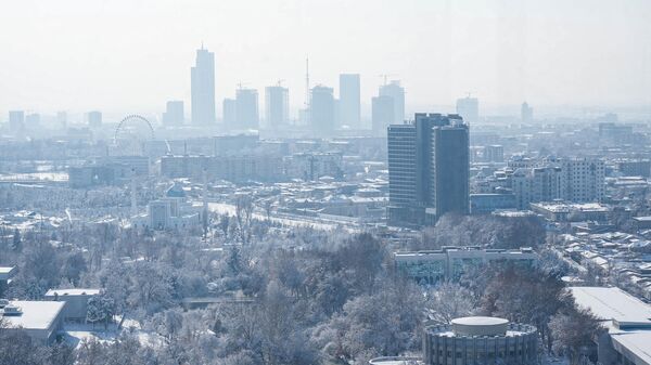 Zima v Tashkente. - Sputnik O‘zbekiston
