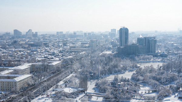 Зима в Ташкенте. - Sputnik Узбекистан