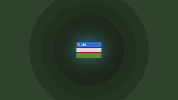 Vse ob armii Uzbekistana infografika zaglushka - Sputnik Oʻzbekiston