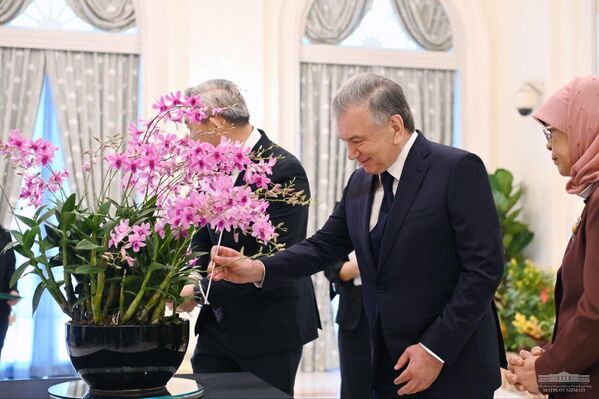 В рамках государственного визита Шавката Мирзиёева в Сингапур состоялись мероприятия на высшем уровне - переговоры с Президентом этой страны Халимой Якуб. - Sputnik Ўзбекистон