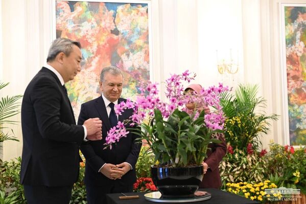 В Сингапуре новый сорт орхидеи назвали в честь Шавката Мирзиёева - Sputnik Ўзбекистон