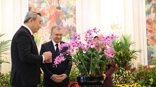 В Сингапуре новый сорт орхидеи назвали в честь Шавката Мирзиёева - Sputnik Узбекистан