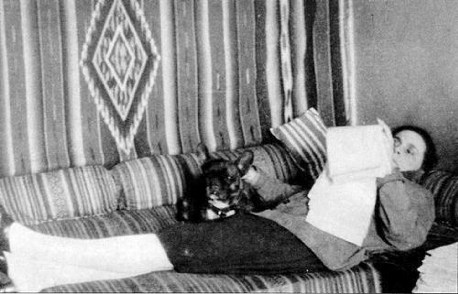 Квартира Лили Брик была украшена вещами, привезенными из Туркестана - Sputnik Узбекистан, 1920, 19.01.2023