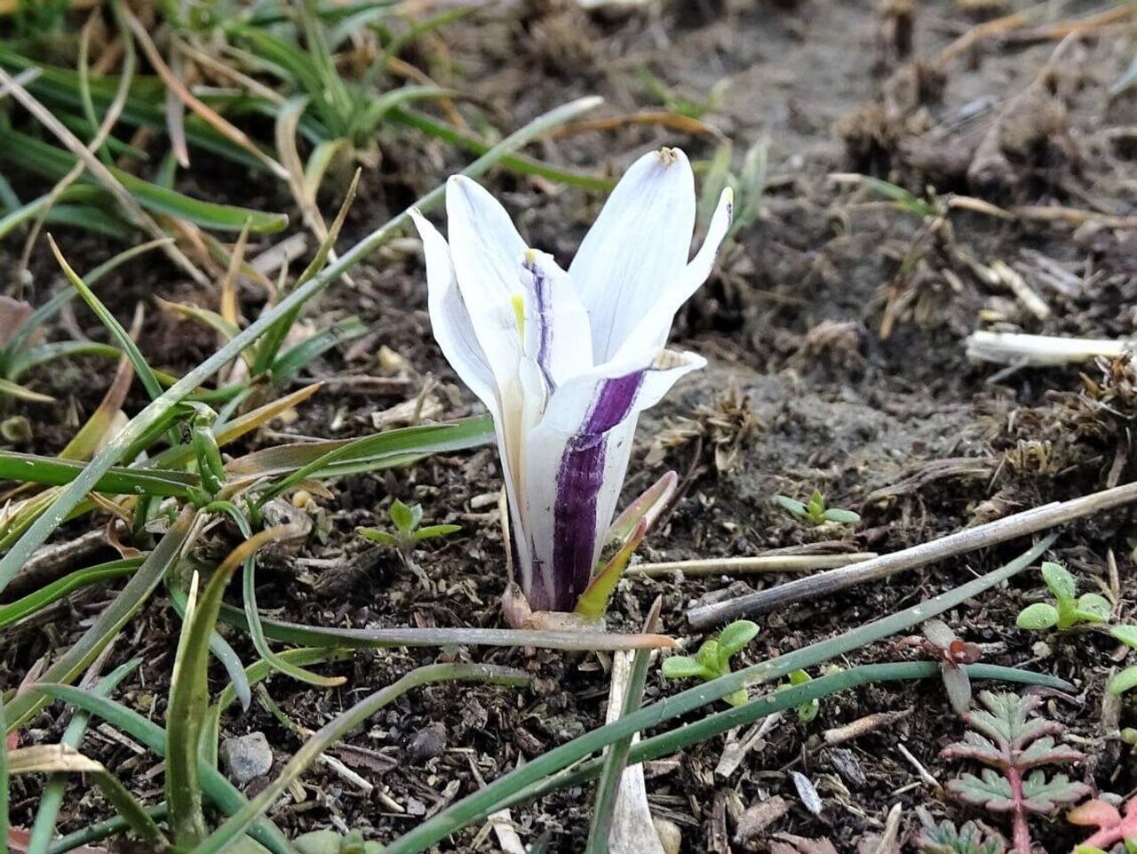 Ayol tanasi porno rasmlar