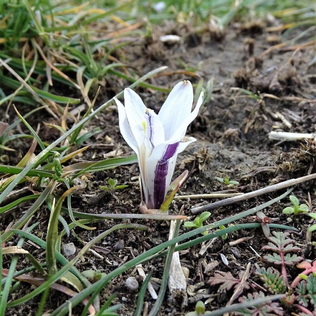 Fistingdan oldin anusni qanday yuvish kerak Turgan holda yuzma-yuz jinsiy aloqa