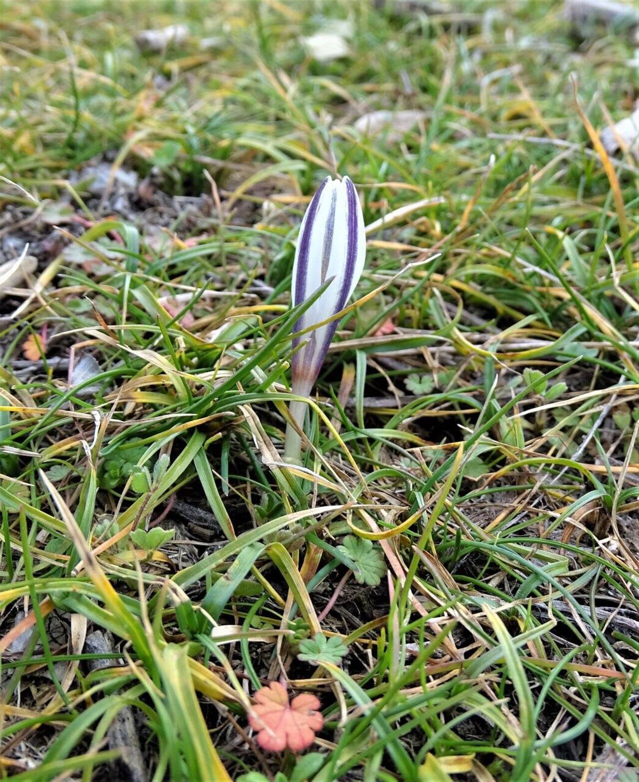 Erkaklar uchun ogzaki jinsiy aloqa boyicha maslahatlar