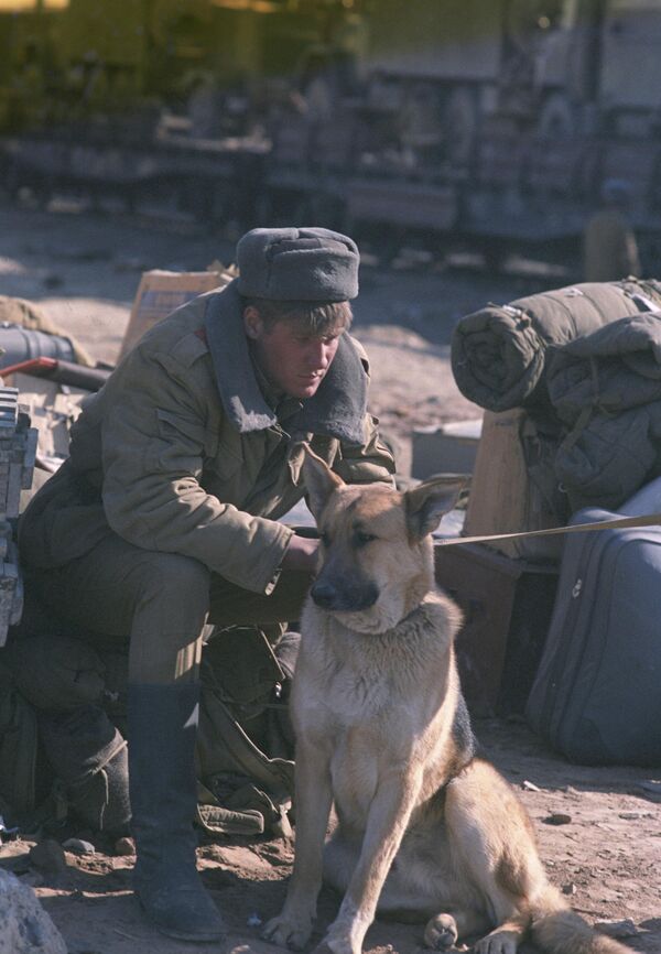 Военнослужащий со служебной собакой. - Sputnik Узбекистан