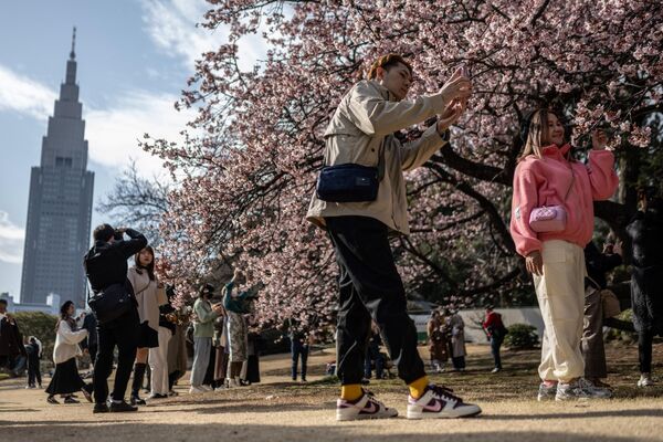 Цветение сакуры в парке Синдзюку-Гёэн в Токио, Япония - Sputnik Узбекистан