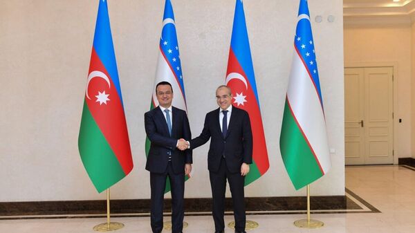 Узбекско-азербайджанский бизнес-форум - Sputnik Узбекистан