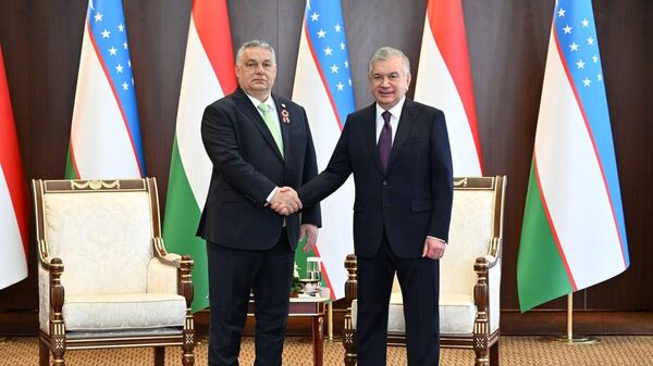 В рамках программы основного дня внеочередного саммита Организации тюркских государств Шавкат Мирзиёев провел встречу с Премьер-министром Венгрии Виктором Орбаном. - Sputnik Ўзбекистон