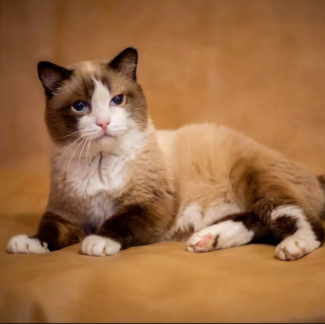 Ochiq havoda jinsiy aloqada bolgan gey yigitlar