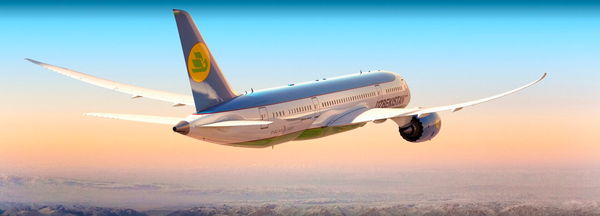 самолёт Uzbekistan Airways - Sputnik Узбекистан