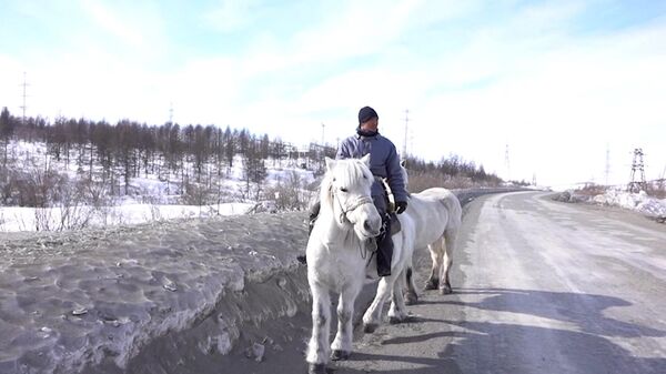Всадник-экстремал о конном походе из Якутии на Колыму при -58° - Sputnik Узбекистан