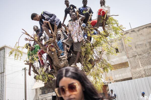 Молодые люди стоят на верхушке дерева, чтобы получше рассмотреть праздник в честь 63-го Дня независимости Сенегала.  - Sputnik Узбекистан