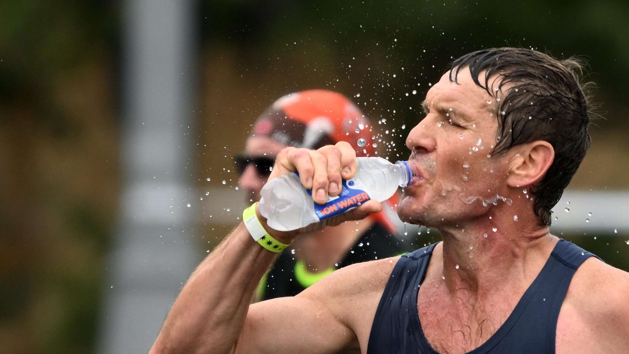 Ученые спортсмены артисты