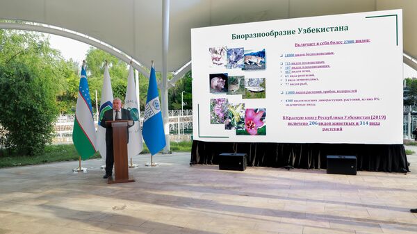 Узбекистан поддерживает глобальную программу ООН по сохранения биоразнообразия - Sputnik Узбекистан
