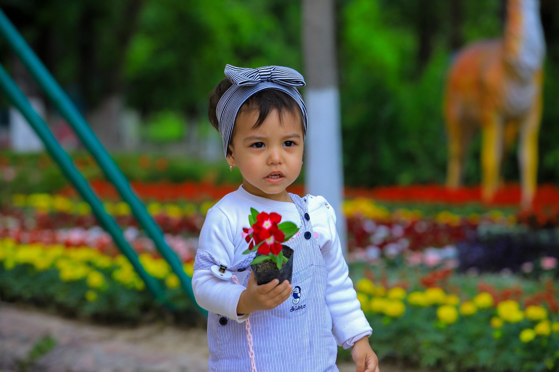 С 21 мая по 4 июня в Намангане пройдет 62-й Международный фестиваль цветов: Праздник красоты природы и культурного разнообразия! - Sputnik Ўзбекистон, 1920, 17.04.2023