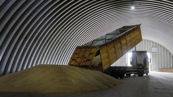 Выгрузка зерна в зернохранилище в селе Згуровка, Украина, 9 августа 2022 года. - Sputnik Ўзбекистон