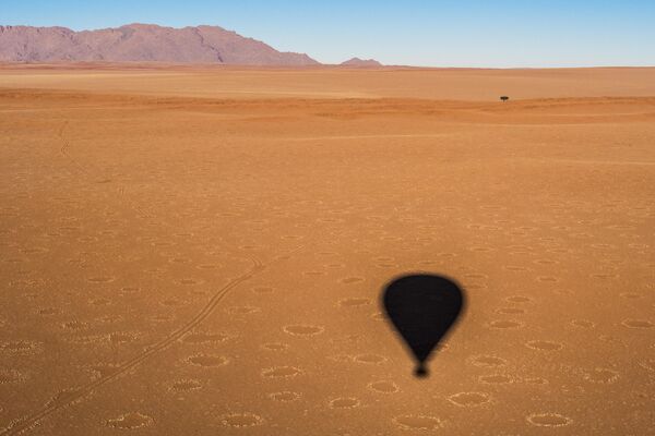 Таинственные круги в африканской пустыне Намиб. - Sputnik Узбекистан