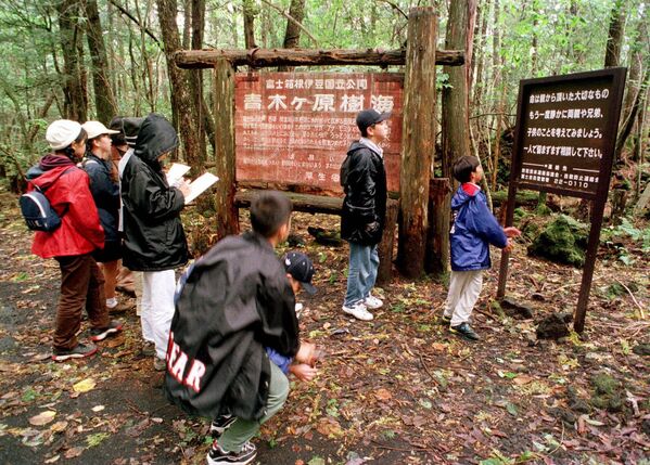 Школьники читают таблички в японском лесу Аокигахара у подножия горы Фудзи. - Sputnik Узбекистан