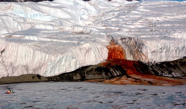 &quot;Кровавый водопад&quot; на леднике Тейлор в Антарктиде. - Sputnik Узбекистан