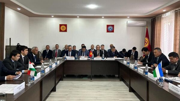 Делегации Узбекистана, Кыргызстана и Таджикистана провели встречу в Баткене - Sputnik Узбекистан