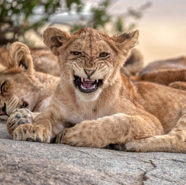 U emayotgan paytda suratga oldim