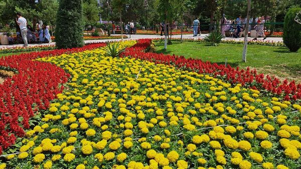 Международный фестиваль цветов в Намангане - Sputnik Узбекистан