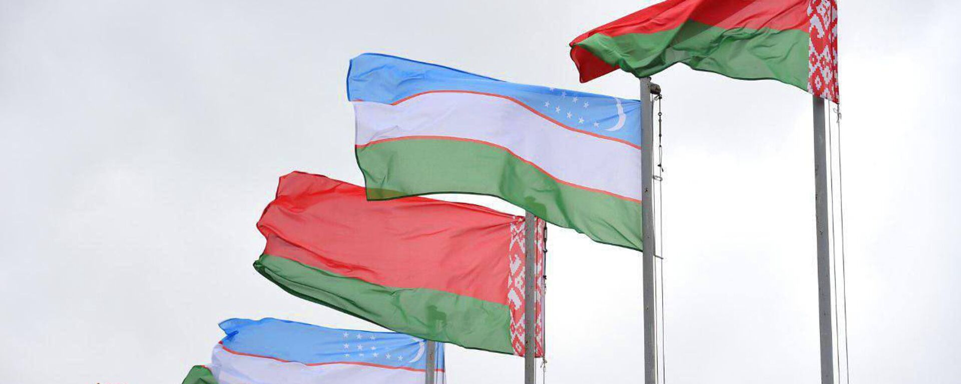 Флаги Беларуси и Узбекистана Флаги Беларуси и Узбекистана - Sputnik Узбекистан, 1920, 03.09.2025