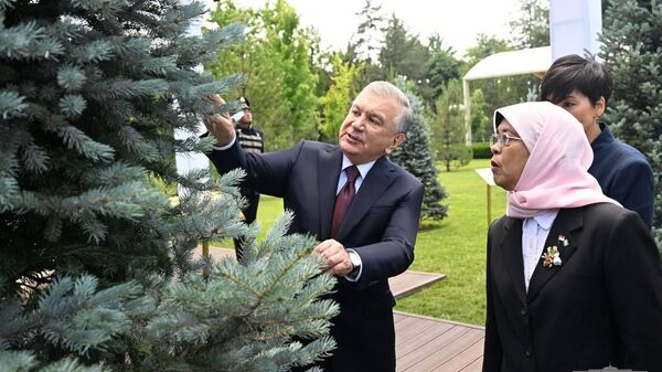 Президенты Шавкат Мирзиёев и Халима Якуб высадили ель на Аллее почетных гостей в резиденции Куксарой. - Sputnik Узбекистан