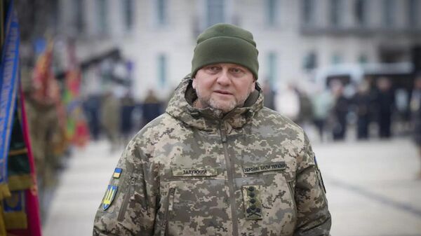 Главнокомандующий Вооруженными силами Украины Валерий Залужный. - Sputnik Узбекистан