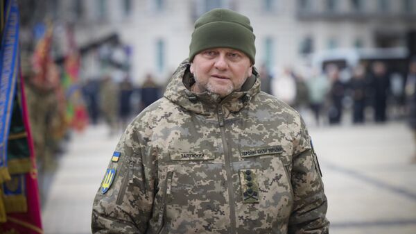 Glavnokomanduyushiy Voorujennimi silami Ukraini Valeriy Zalujniy.  - Sputnik O‘zbekiston