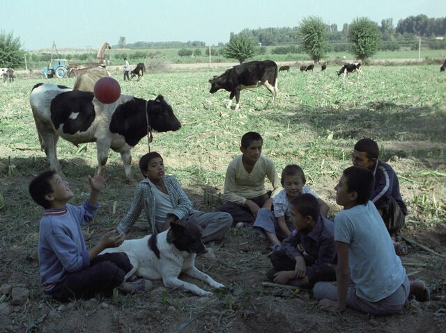 Rus jinsiy aloqa va videoda uy qurilishi kunnilingus