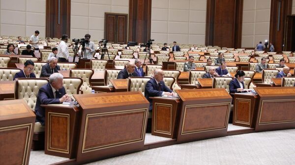 Пленарное заседание Сената. Архивное фото - Sputnik Узбекистан