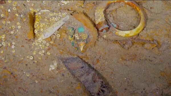 На затонувшем Титанике нашли ожерелье из зуба мегалодонта - Sputnik Ўзбекистон