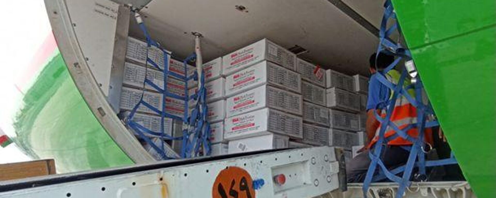 В Ташкент из Египта доставили очередную партию препаратов от гепатита С - Sputnik Узбекистан, 1920, 22.06.2025