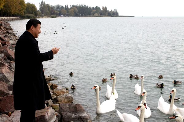 Си Цзиньпин кормит лебедей на озере Балатон в Венгрии, октябрь 2009 г. - Sputnik Узбекистан