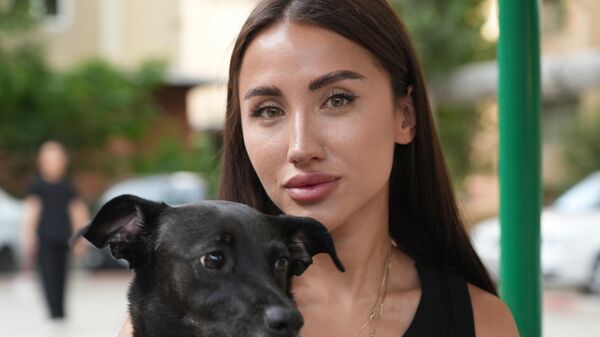 Девушка тратит миллионы на помощь бездомным собакам — трогательная история о добре и милосердии - Sputnik Узбекистан