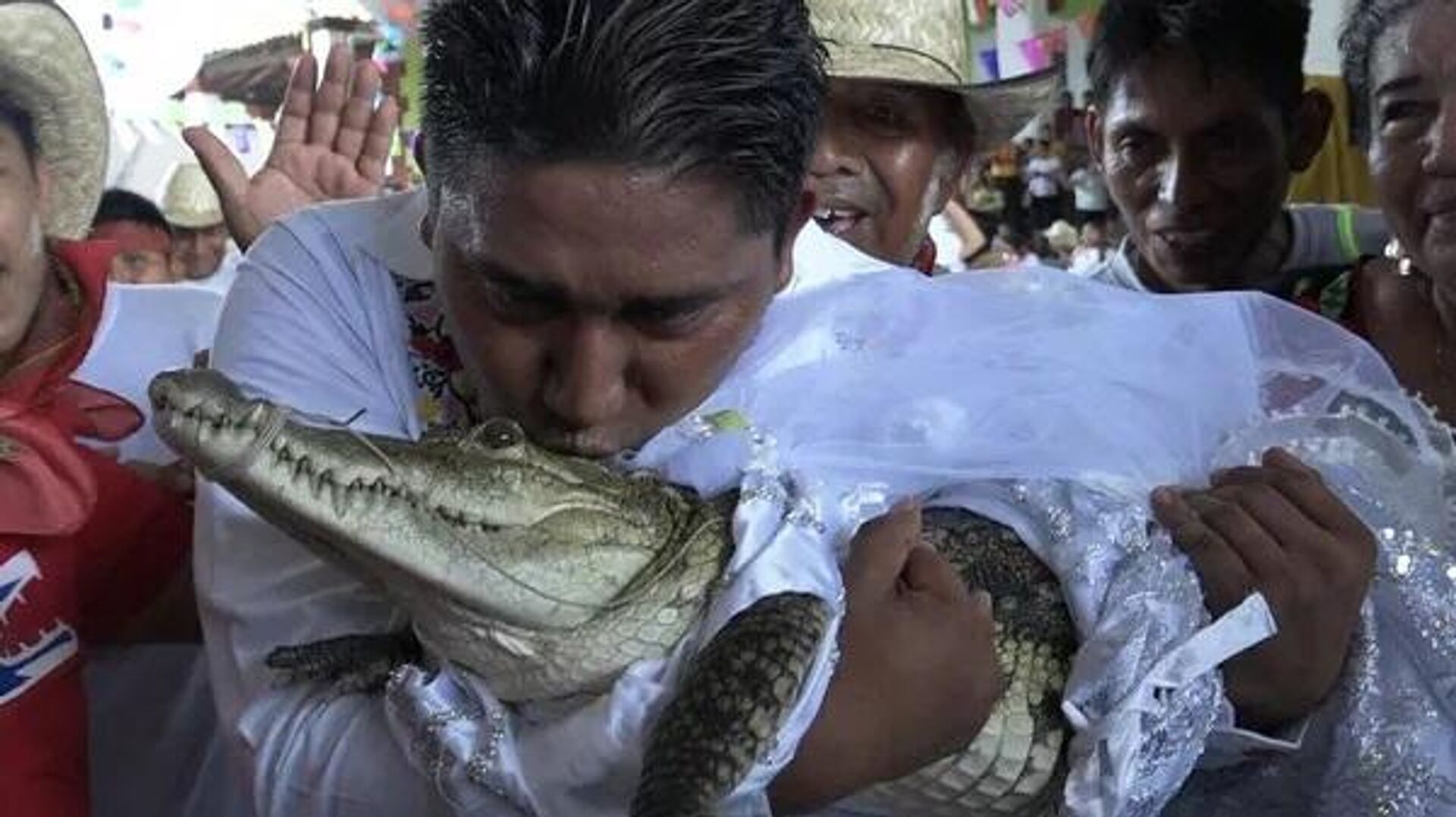 Виктор Хьюго Соса, мэр Сан-Педро-Уамелула, целует очкового каймана (Caiman crocodilus) по имени La Niсa Princesa (Девушка-принцесса) перед тем, как жениться на ней - Sputnik Узбекистан, 1920, 03.07.2023