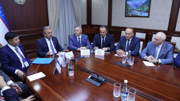 Наблюдатели от МПА СНГ обсудили в Сенате Узбекистана политические реформы в республике - Sputnik Узбекистан