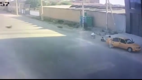Стоп-кадр видео, на котором таксист спасает 10-летнего мальчика от нападения собак  - Sputnik Узбекистан
