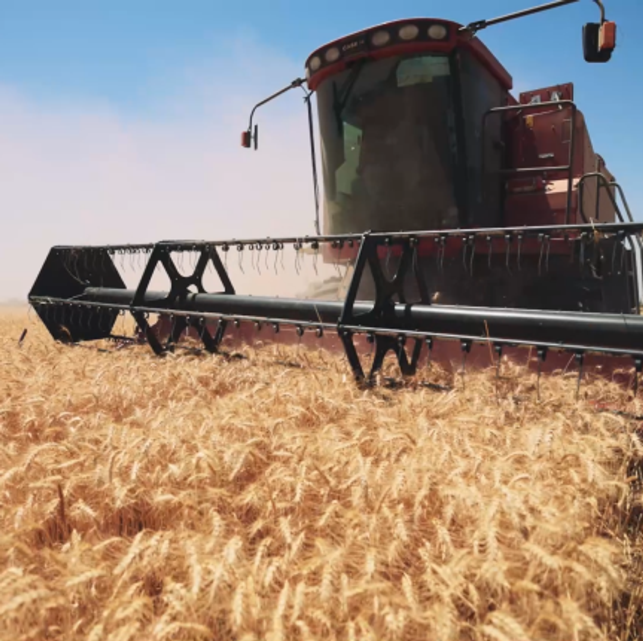 yalangoch talaba yalangoch